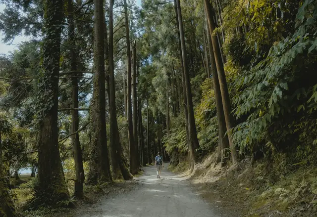Rondreis Sao Miguel | wandelen